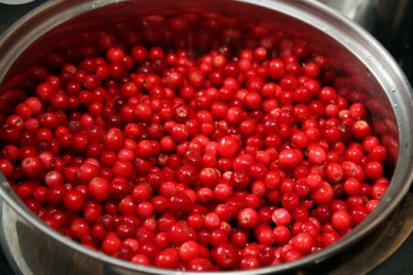 hugasan ang lingonberry