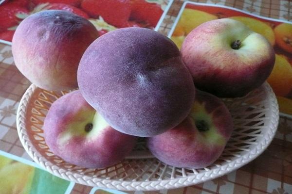 fruta en un plato