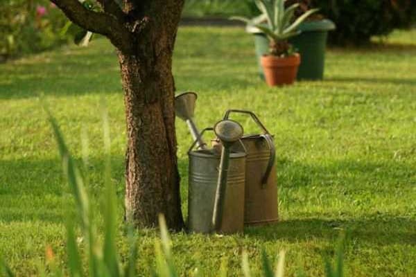 metal watering can