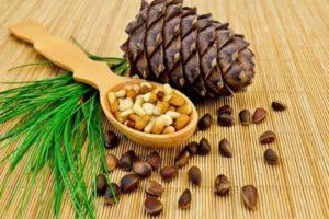 When can and how to collect pine cones correctly