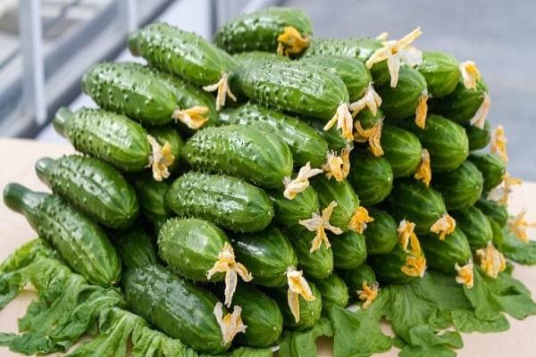 wall of vegetables