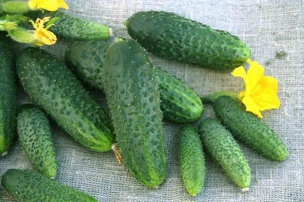 fruits de légumes