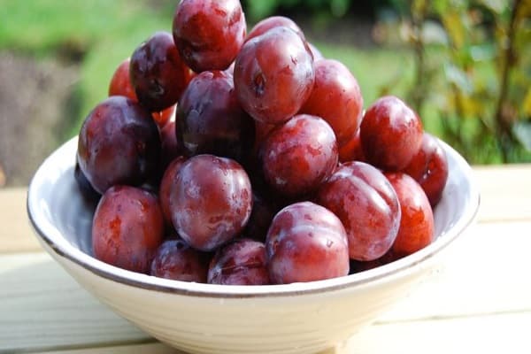 fruits dans une assiette