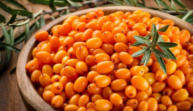 Ripe sea buckthorn