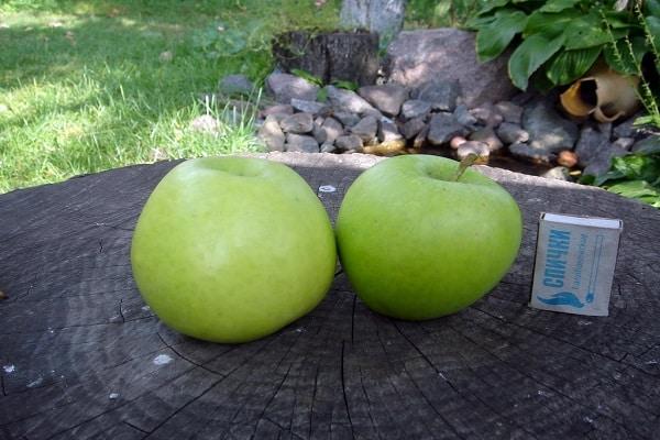 caja de fosforos