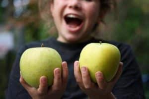 Descripción y características de las manzanas Mutsu, plantación, cultivo y cuidado.