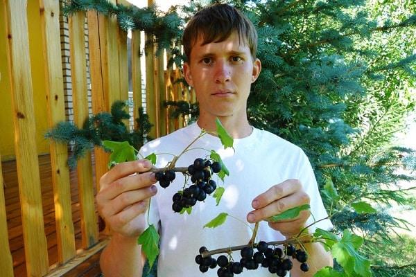 gardener with culture