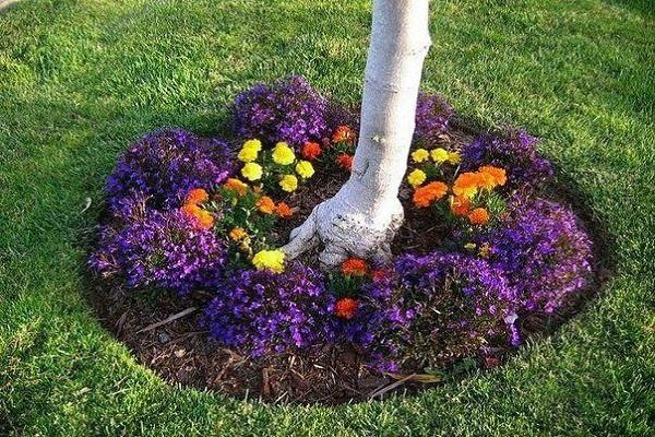 flowers by the tree