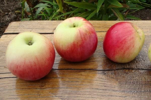 manzanas en la mesa