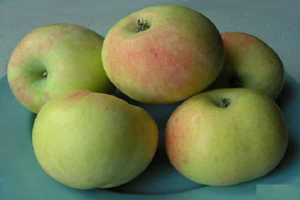 fruits sur une assiette