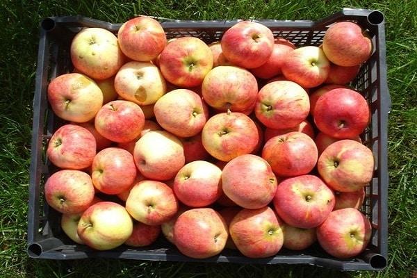 caja de manzanas