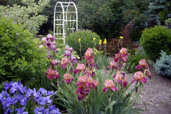 caramel au beurre dans le jardin