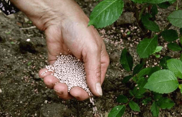 fertilizer potassium