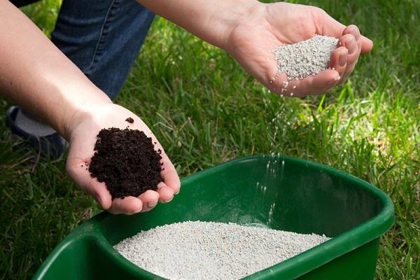 sprinkle fertilizer