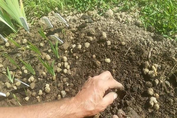 cleaning in the ground