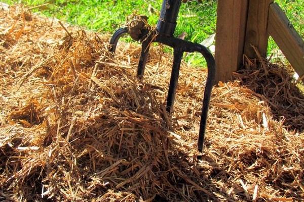 mulch preparation