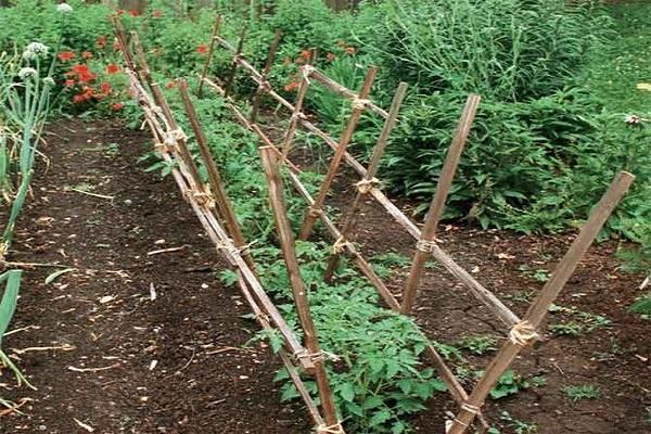 chevilles en bois