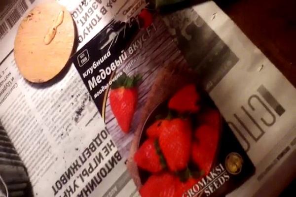 fraises dans un sac