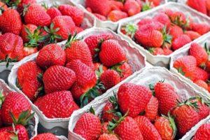 Cómo almacenar correctamente las fresas en casa para el invierno.