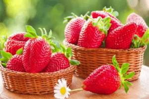 Description and characteristics of the Eliane strawberry variety, cultivation and care