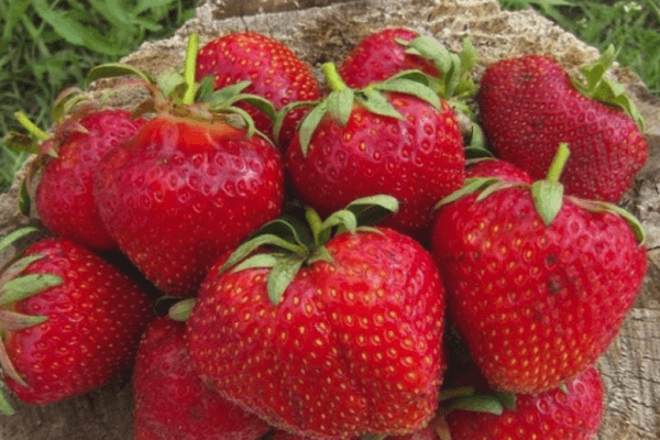 Ripe strawberry