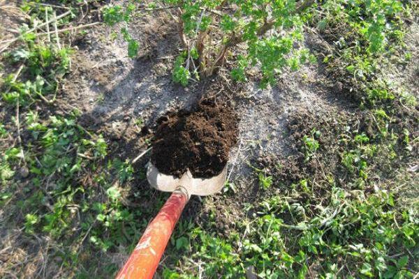 shovel with earth