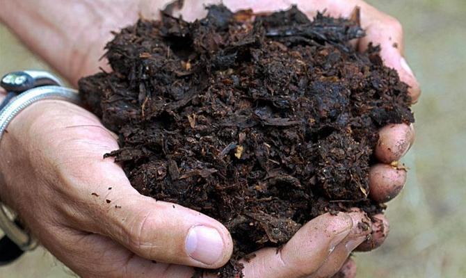 manure in hand