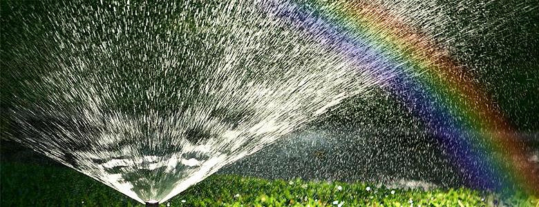 watering flowers