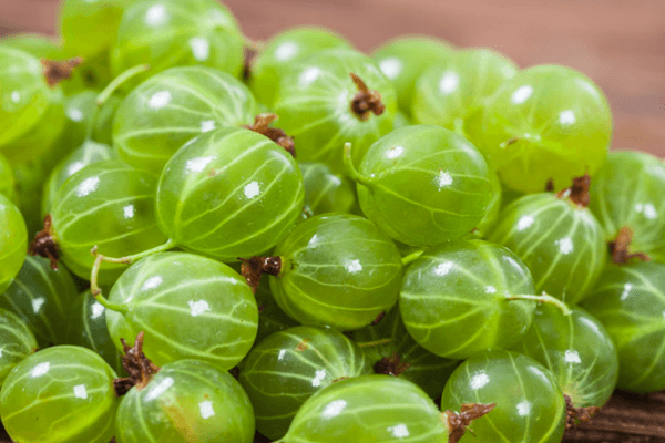 The benefits of gooseberries