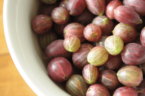 Gooseberry bowl