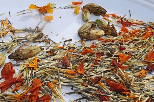 drying flowers