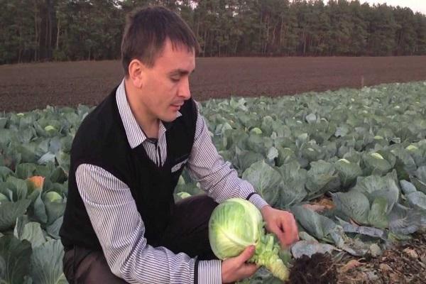 agriculteur dans le jardin