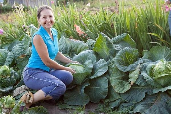 fille avec calibos