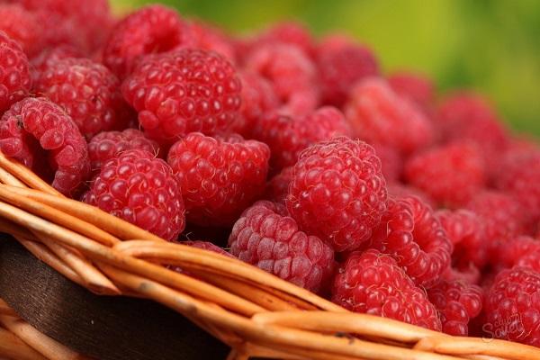 red berries