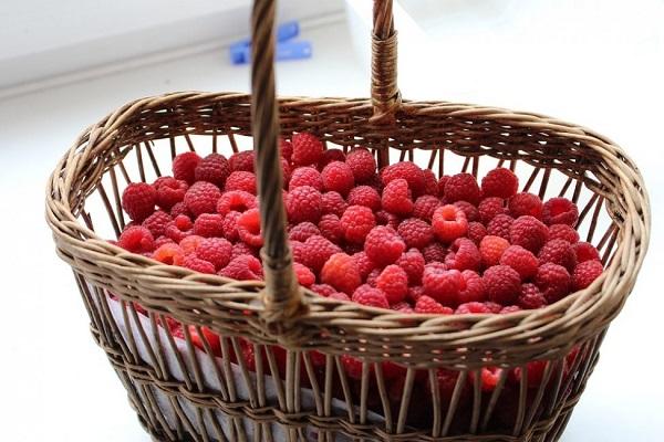 basket on the window