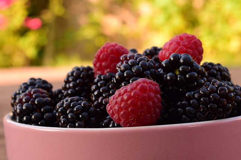 raspberries in a bowl