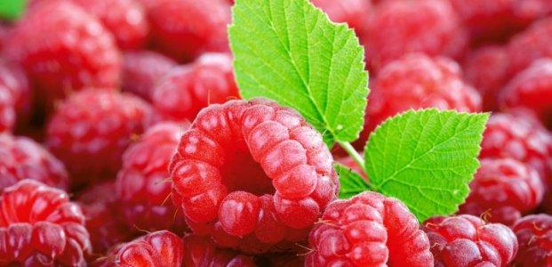 ripe raspberries