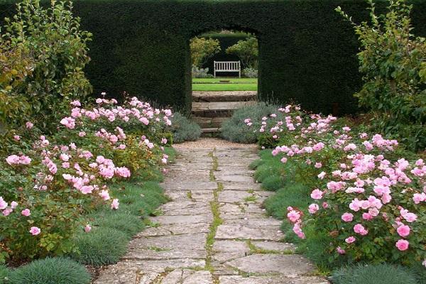 cour de jardin