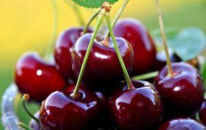 Description and characteristics of the sweet cherry variety Bull heart, cultivation and care