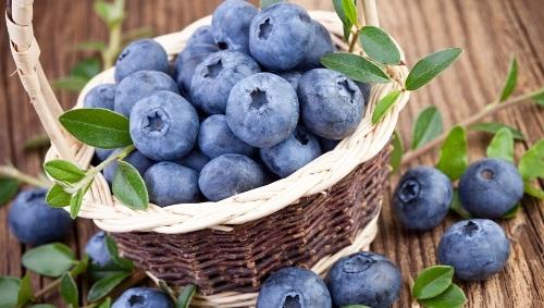 blueberries in a basket