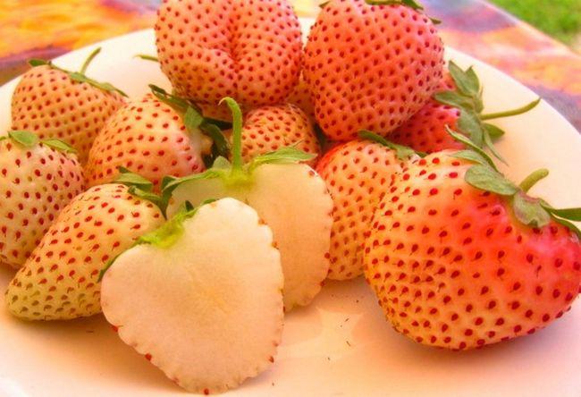 pinya ng strawberry