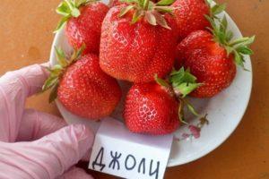 Paglalarawan at mga katangian ng iba't ibang Jolie strawberry, paglilinang at pagpaparami