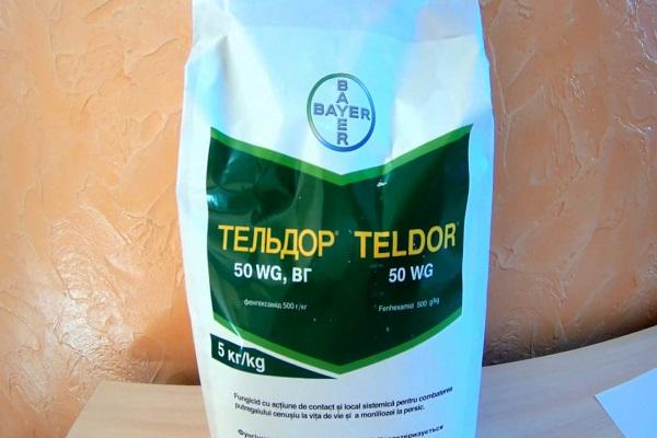 medicine Teldor