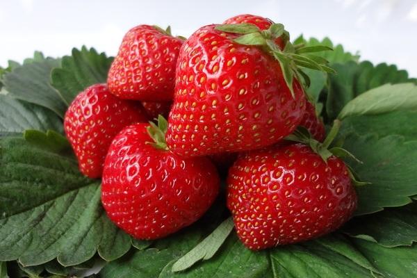 ripe strawberry