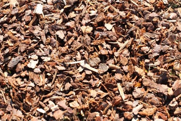 Walnut mulching