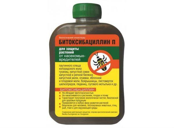 Bitoxibacilline des parasites