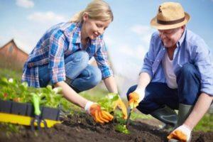 Calendrier de plantation lunaire du jardinier pour mai 2020, jours favorables