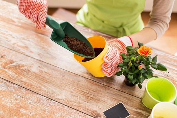 travailler avec des fleurs