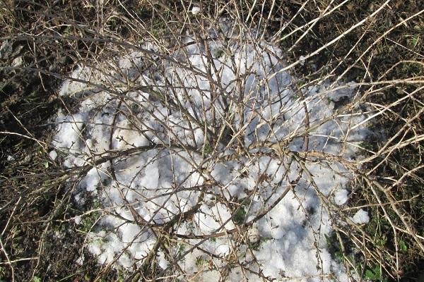 nieve en el suelo