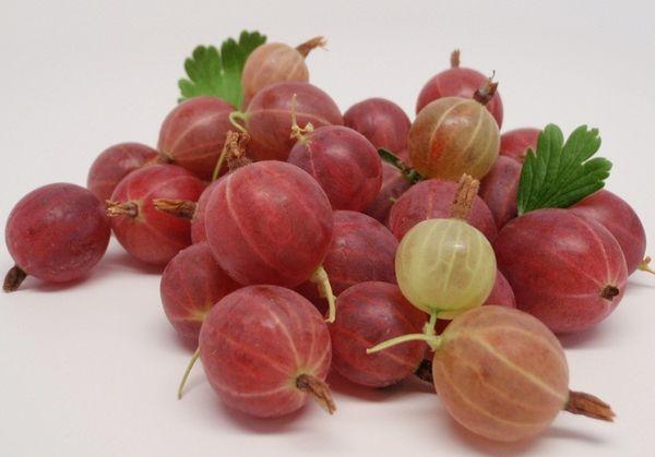 Gooseberry